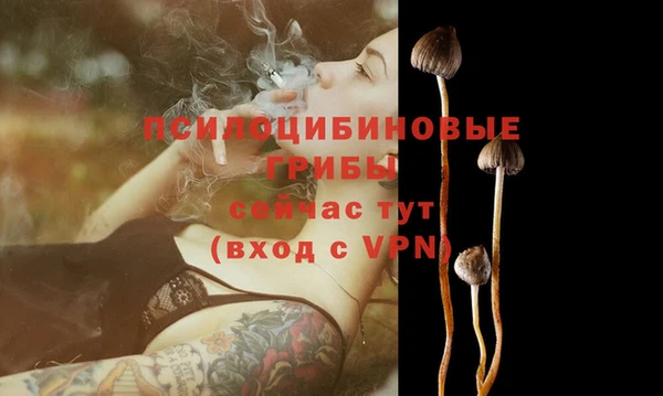 ПСИЛОЦИБИНОВЫЕ ГРИБЫ Баксан