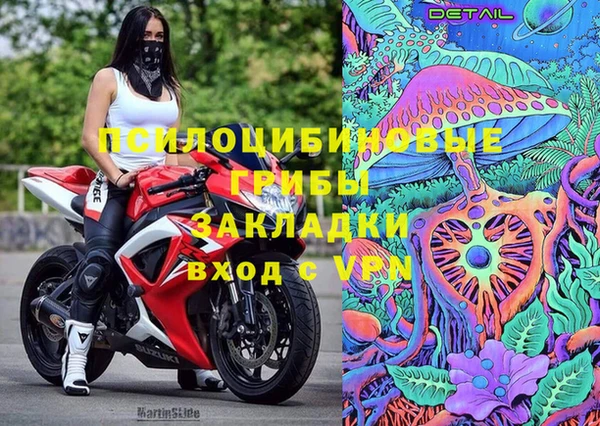эйфоретик Балахна