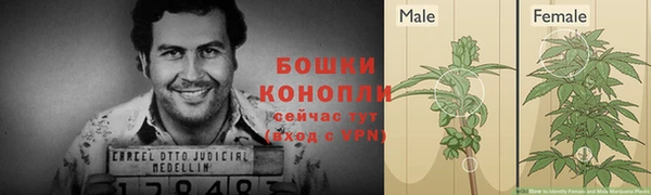 ПСИЛОЦИБИНОВЫЕ ГРИБЫ Баксан