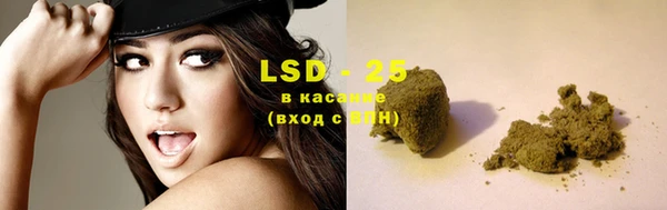ПСИЛОЦИБИНОВЫЕ ГРИБЫ Баксан