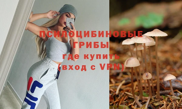 ПСИЛОЦИБИНОВЫЕ ГРИБЫ Баксан