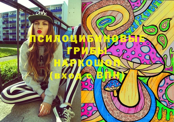 ПСИЛОЦИБИНОВЫЕ ГРИБЫ Баксан