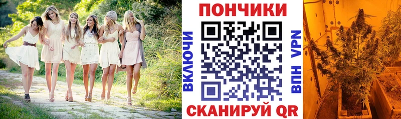 Шишки марихуана гибрид  это Telegram  Родники 